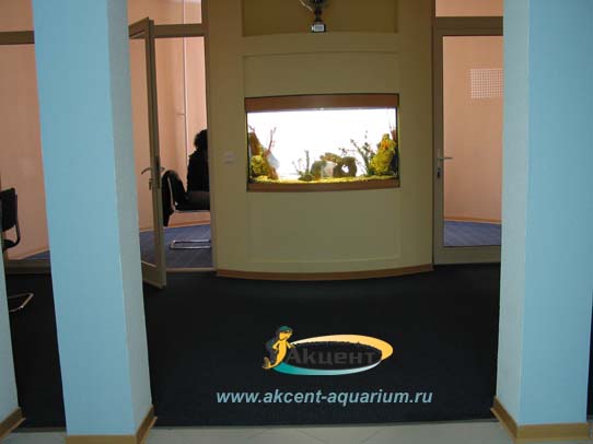 Акцент-Аквариум, аквариум просмотровый с гнутым передним стеклом 270 литров вид на комнату переговор